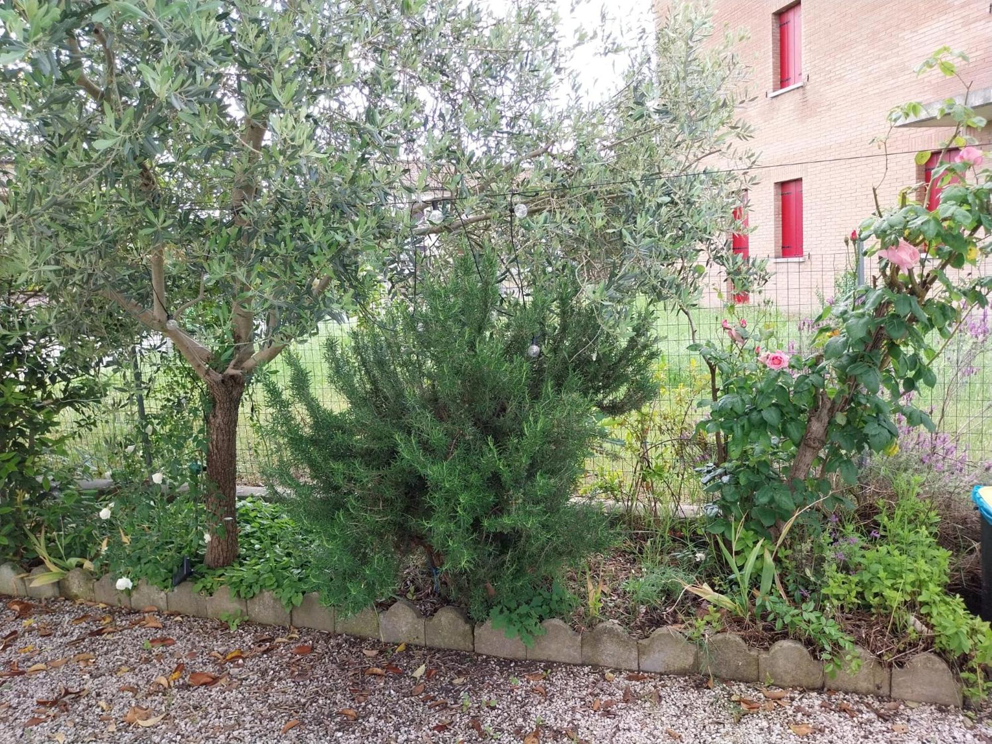 Apartamento Casita Esperanza Copparo Exterior foto